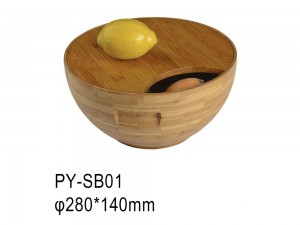 PY-SB01